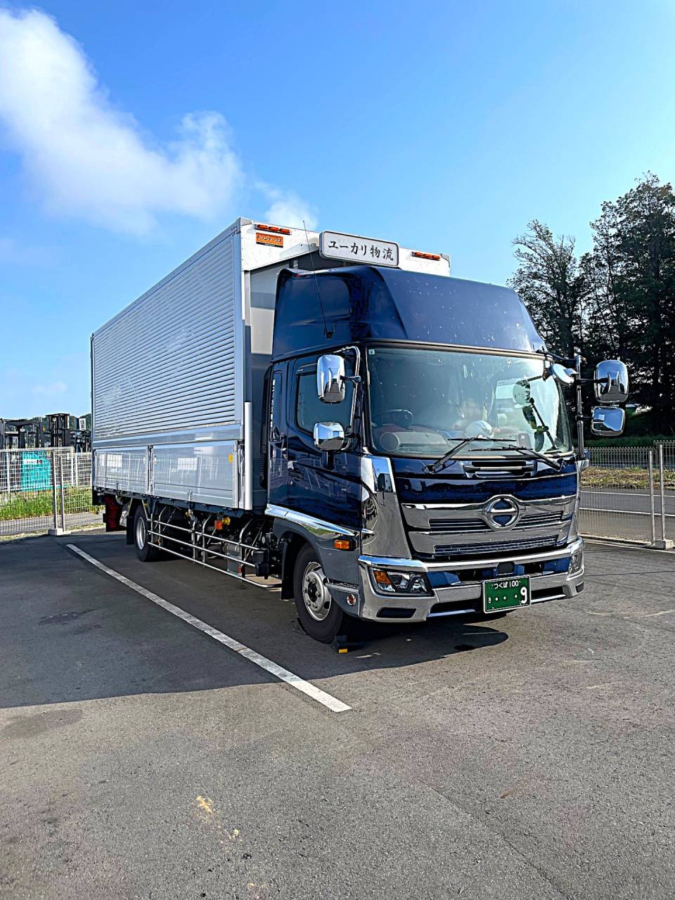 ニューフェイス⑥