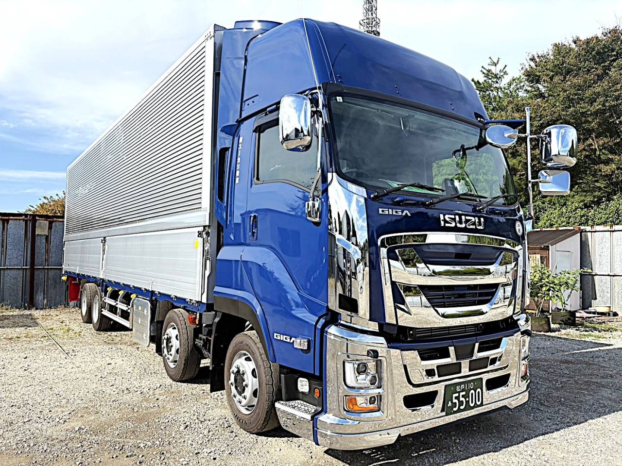 ニューフェイス⑦