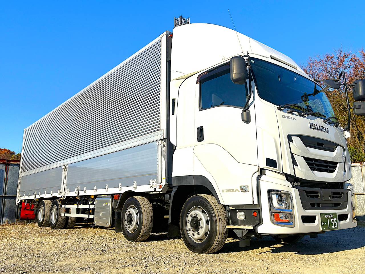 ニューフェイス⑧